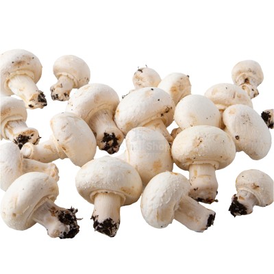 Шампиньоны свежие 500 г - купить в Генераловке